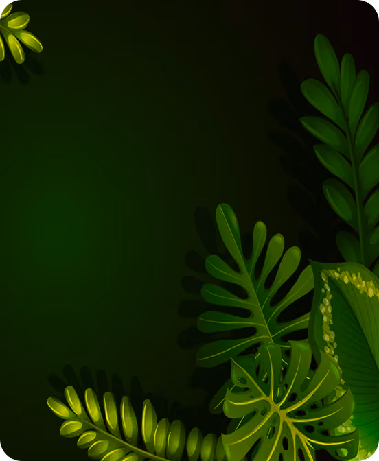 bonus card background
